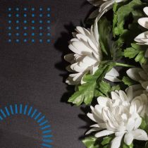 Funeral Exploring Funeral Services in South Africa Feature