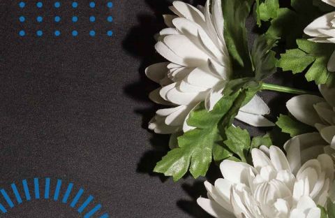 Funeral Exploring Funeral Services in South Africa Feature