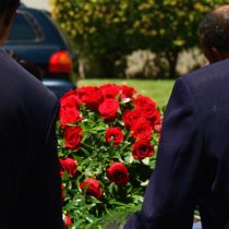 Legal You Q1 2021 Feature Story Square Images 1080 X 1080 Px6