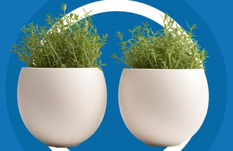 Understanding the Two Pot Retirement System Feature