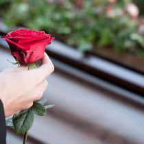 Legal You Q2 2021 Feature Story Banner Headers5