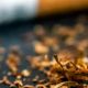 Tobacco