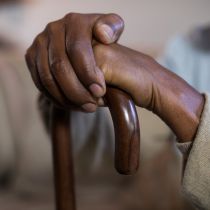 Adobe Stock 184425791