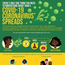 Sa Government What You Need To Know