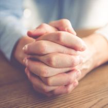 Shutterstock 491969824